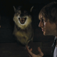 Image for article titled The Secret Firefly Easter Egg in Cabin in the Woods